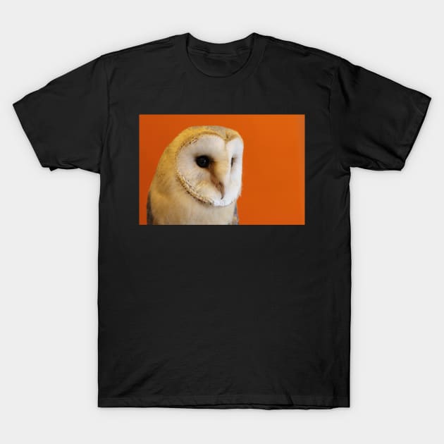 Barn Owl T-Shirt by kawaii_shop